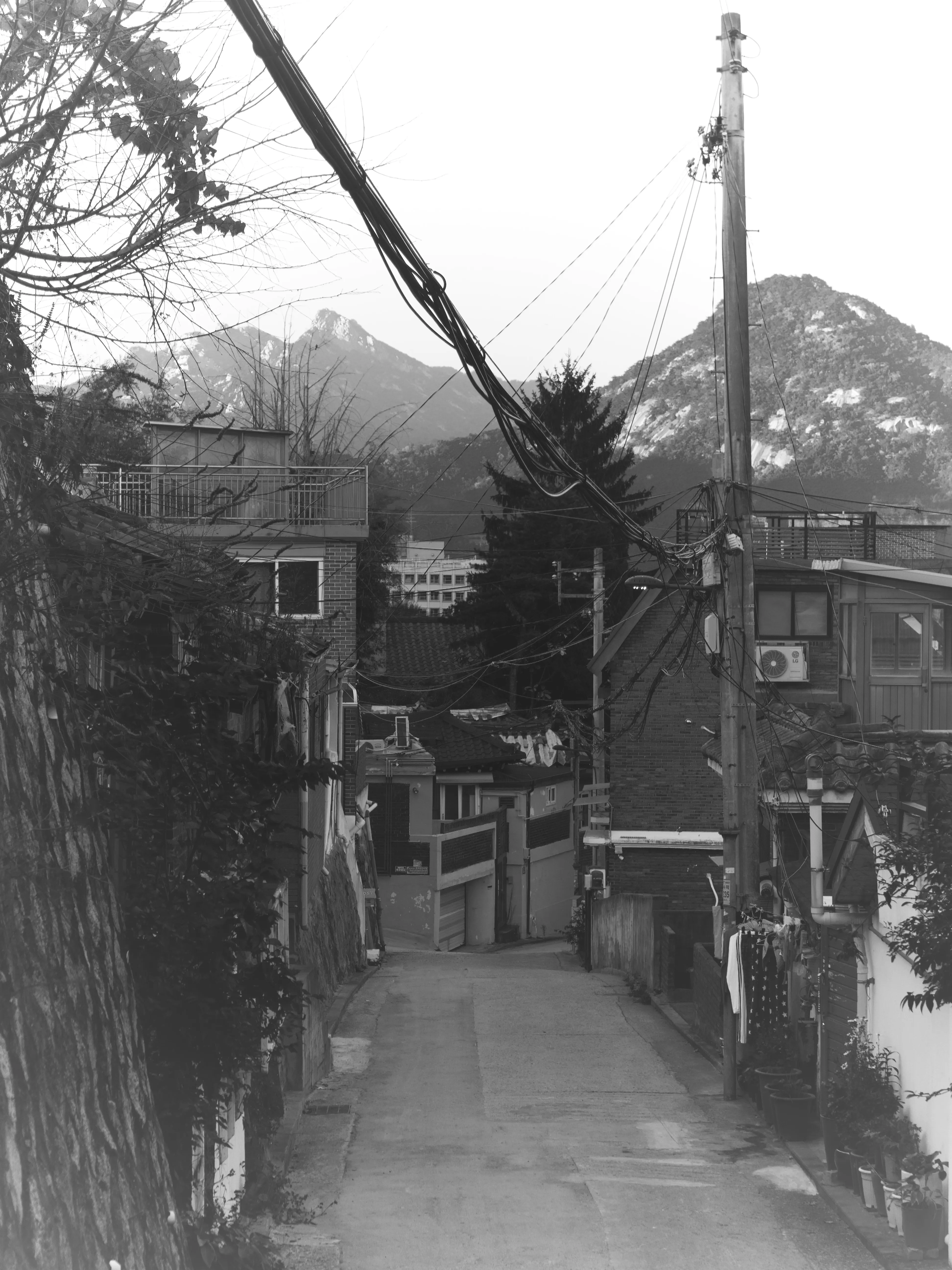 Black & White Gallery - Picture 4